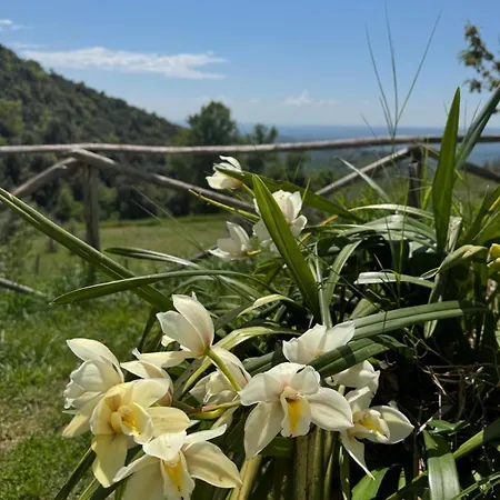 Casa Franceschini *